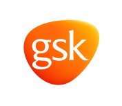 GSK OUR CLIENTS Internal communications