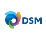 DSM OUR CLIENTS Internal communications