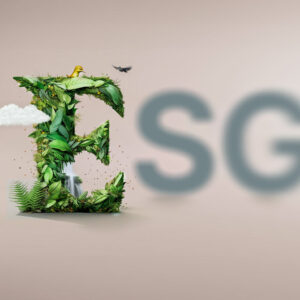 La “E” de los criterios ESG: el medio ambiente (Environmental)