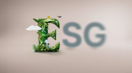 The “E” of the ESG criteria: the environment (Environmental)